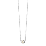 Aria Neck Pendant