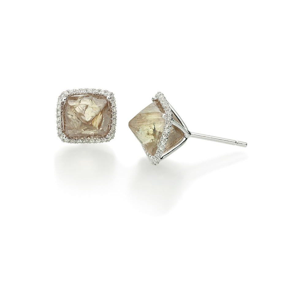Classic Halo Studs Earrings