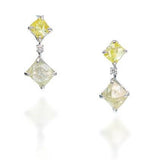 Astra Dangle Earrings
